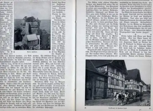 Frankreich Elsaß Vogesen Geschichte Heimat Volkskunde Buch 1908