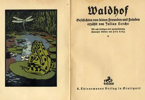 Altes Kinderbuch Julius Lerche Wald und Tier Geschichten Bilder Fritz Lang 1916