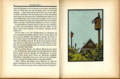 Altes Kinderbuch Julius Lerche Wald und Tier Geschichten Bilder Fritz Lang 1916