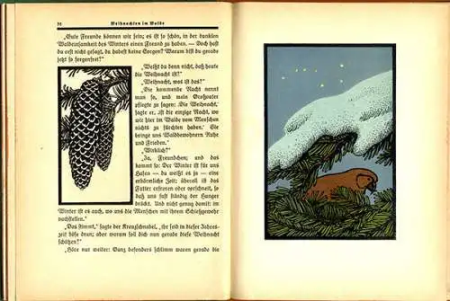 Altes Kinderbuch Julius Lerche Wald und Tier Geschichten Bilder Fritz Lang 1916