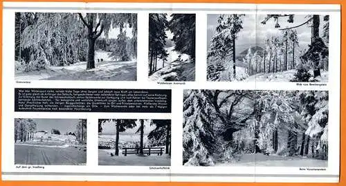 Thüringen Thüringer Wald Wintersport Brotterode Inselsberg Falt Prospekt 1930