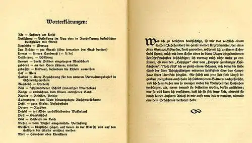 Deutsche Literatur Ufa Film Kunst Theodor Storm Schimmelreiter Foto Buch 1934