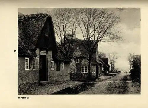 Deutsche Literatur Ufa Film Kunst Theodor Storm Schimmelreiter Foto Buch 1934