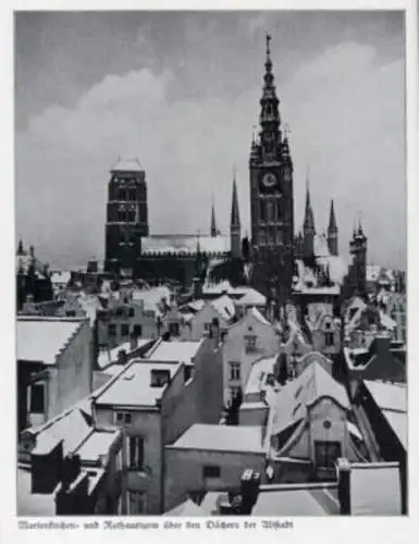 Ostpreußen Danzig Stadt Geschichte Architektur Foto Bildband 1953