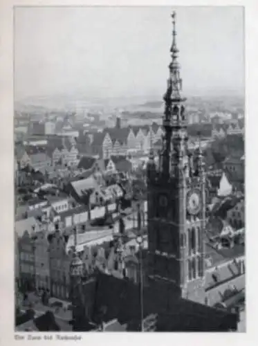 Ostpreußen Danzig Stadt Geschichte Architektur Foto Bildband 1953