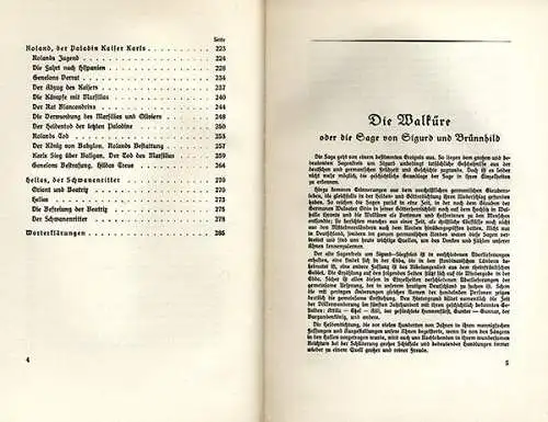 Literatur Rhein Köln Mittelalter Schwänke Rheinisches Narrenschiff Buch 1924