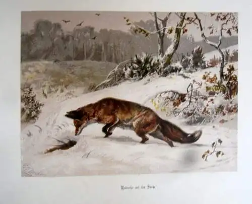 Deutschland Waidwerk Jagd Tier Bilder von Carl Friedrich Deiker Prachtband 1876