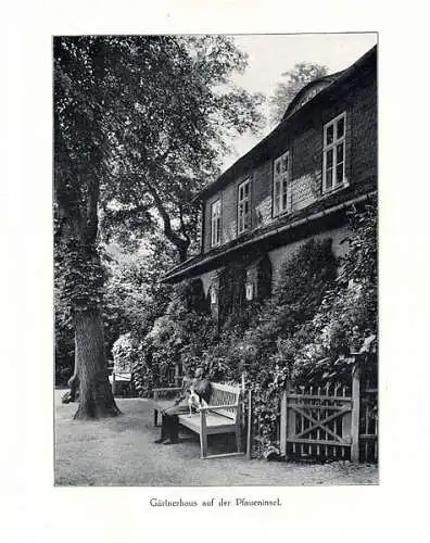 Potsdam Stadt Geschichte Architektur Schloss Garten Sanssouci Foto Bildband 1910