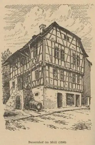 Baden Weinheim Mittelalter Handwerk Gerberzunft Stadt Geschichte Buch 1949