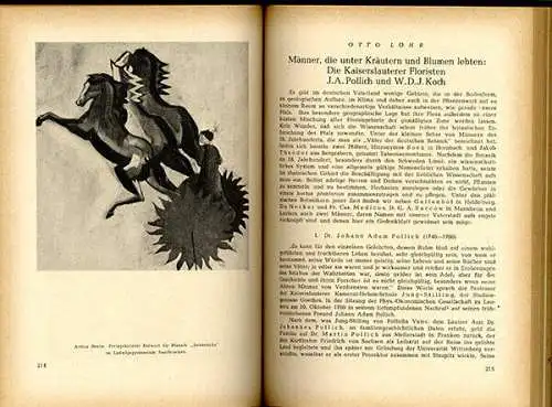 Rhein Pfalz 675 Jahre Kaiserlautern Stadt Geschichte Chronik Festschrift  1951