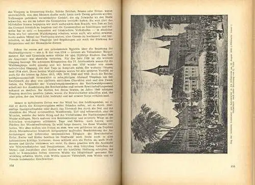 Rhein Pfalz 675 Jahre Kaiserlautern Stadt Geschichte Chronik Festschrift  1951