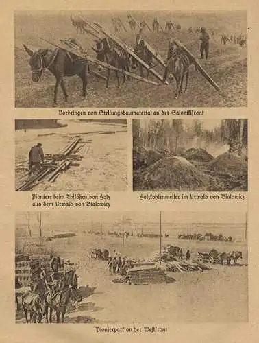 Weltkrieg Militär Geschichte Technik Pionier Bataillon Festung Gedenkbuch 1920