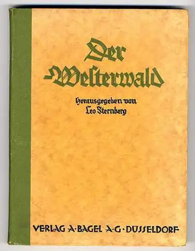 Rhein Pfalz Westerwald Heimat Geschichte Volkskunde Kunst Grafik Buch 1924