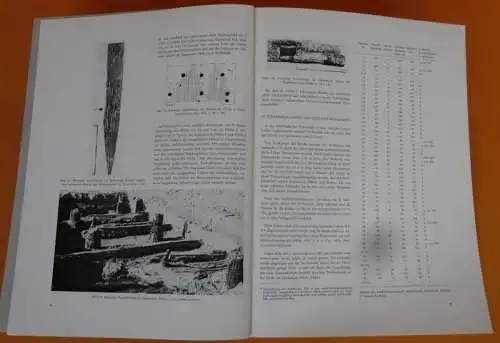 Hessen Bergstraße Archäologie Geschichte Römische Sumpfbrücke Bickenbach 1977