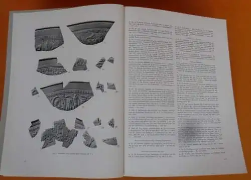 Hessen Bergstraße Archäologie Geschichte Römische Sumpfbrücke Bickenbach 1977