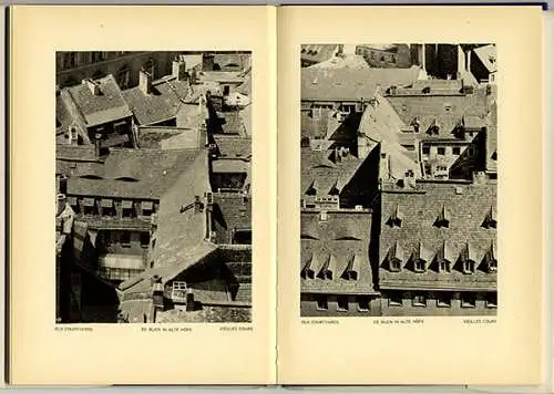 Sachsen Dresden Elbe Geschichte Architektur Baukunst Foto Bildband 1930