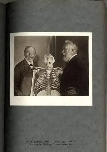 Naturwissenschaften Biologie Jena Ernst Haeckel Porträt Festschrift 1914