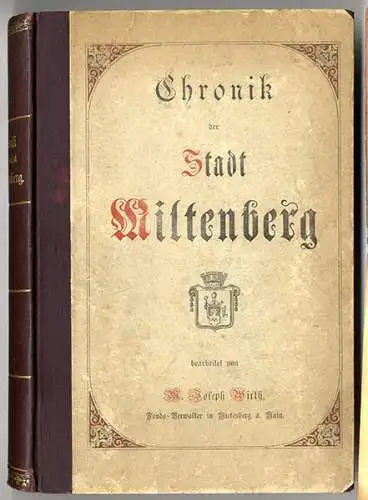 Bayern Main Franken Miltenberg Stadt Geschichte Chronik Heimatbuch 1890