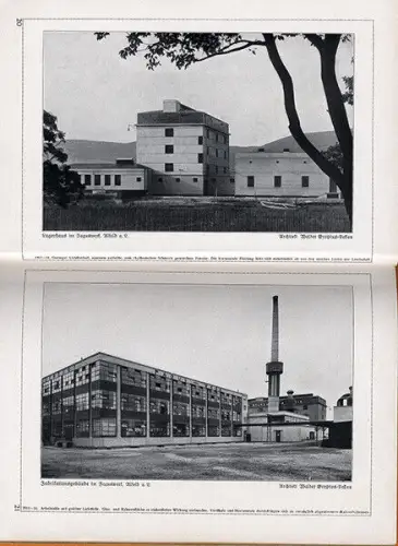 Deutsche Industrie Architektur Bauhaus Poelzig Behrens Gropius Bildband 1929