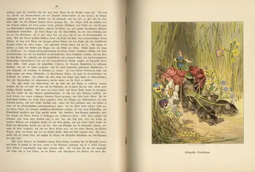 Blumen Märchen aus Feld und Wiese von Godin Kröner Verlag Stuttgart 1886