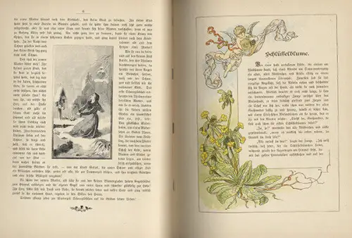 Blumen Märchen aus Feld und Wiese von Godin Kröner Verlag Stuttgart 1886