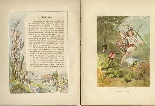 Blumen Märchen aus Feld und Wiese von Godin Kröner Verlag Stuttgart 1886