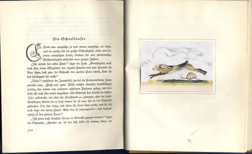 Andersen Märchenbuch Kunst Grafik Aquarelle Alfred Thon Junker Verlag  1922