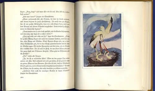 Andersen Märchenbuch Kunst Grafik Aquarelle Alfred Thon Junker Verlag  1922