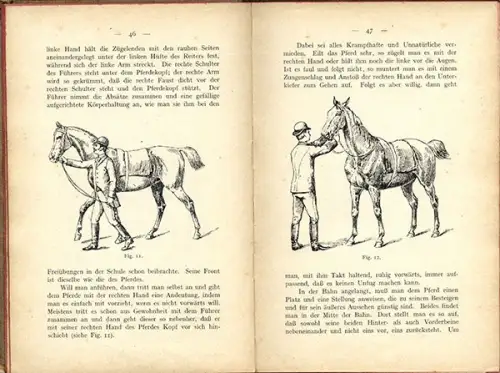 Pferde Reitsport Galopp Turnier Springreiten Jagd Reitlehre Handbuch 1896
