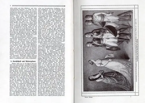 Deutsche Geschichte Preußen Napoleon Blücher Marschall Vorwärts Buch 1913