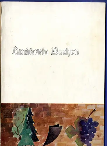 Baden Odenwald Landkreis Buchen Dörfer Geschichte Wirtschaft Heimatkunde 1966