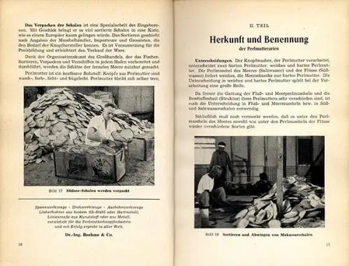 Altes Handwerk Perlmutt Fischerei Knopf Herstellung Geschichte Buch 1958
