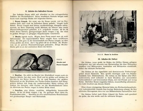 Altes Handwerk Perlmutt Fischerei Knopf Herstellung Geschichte Buch 1958