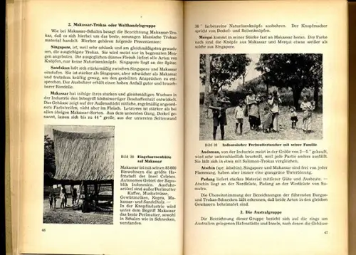 Altes Handwerk Perlmutt Fischerei Knopf Herstellung Geschichte Buch 1958