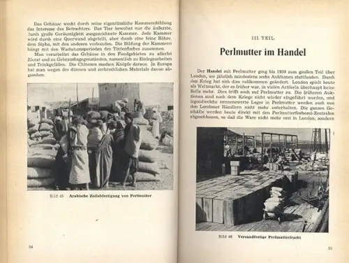 Altes Handwerk Perlmutt Fischerei Knopf Herstellung Geschichte Buch 1958