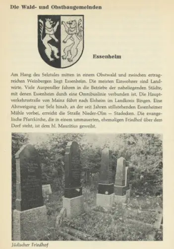 Rheinland Pfalz Stadt Landkreis Mainz Chronik Geschichte Heimatbuch 1957