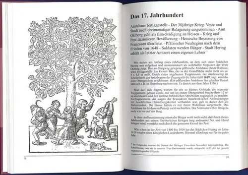 Hessen Odenwald Mittelalter Otzberg Hering Stadt Geschichte Chronik 2021