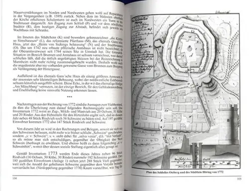 Hessen Odenwald Mittelalter Otzberg Hering Stadt Geschichte Chronik 2021