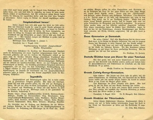 Großherzogtum Hessen Darmstadt Weltkrieg Mobilmachung Gedenkbuch 1914