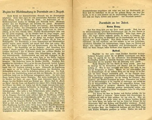 Großherzogtum Hessen Darmstadt Weltkrieg Mobilmachung Gedenkbuch 1914