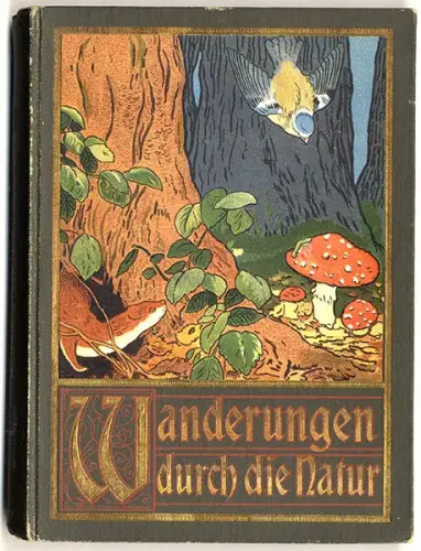 Ökologie Natur Wanderungen Wiese Moor Heide Vögel Insekten Eidechsen Buch 1900