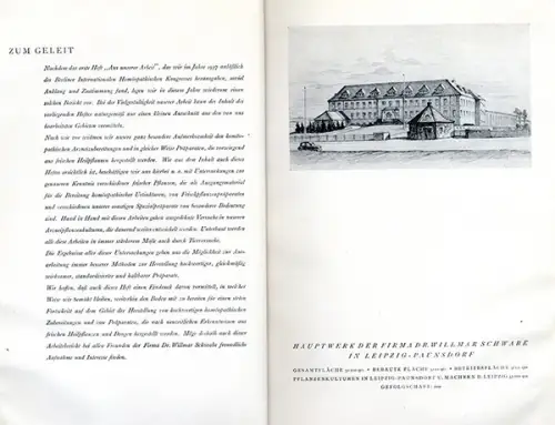 Leipzig Pharmazie Homöopathie Schlangengift Fabrik Labor Willmar Schwabe 1939