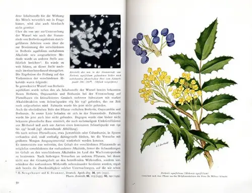 Leipzig Pharmazie Homöopathie Schlangengift Fabrik Labor Willmar Schwabe 1939