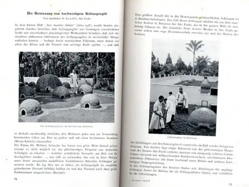 Leipzig Pharmazie Homöopathie Schlangengift Fabrik Labor Willmar Schwabe 1939