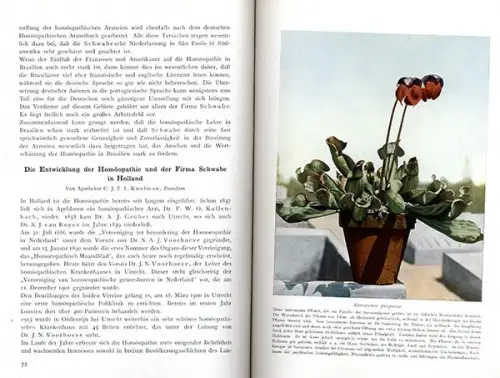 Leipzig Pharmazie Homöopathie Schlangengift Fabrik Labor Willmar Schwabe 1939