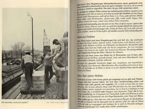 Sachsen Anhalt Magdeburg Sprache Mundart Dialekt Sprichwörter Redensarten 1937