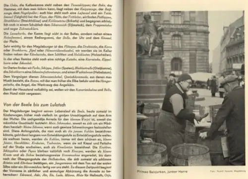 Sachsen Anhalt Magdeburg Sprache Mundart Dialekt Sprichwörter Redensarten 1937
