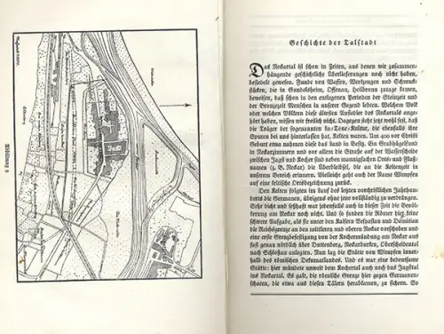 Baden Neckar Bad Wimpfen Stadt Architektur Kunst Denkmäler Buch 1925