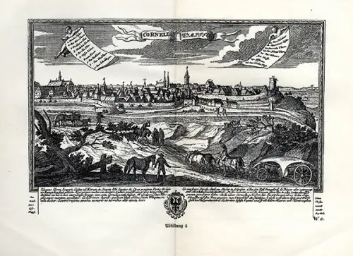 Baden Neckar Bad Wimpfen Stadt Architektur Kunst Denkmäler Buch 1925