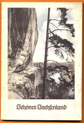 Sachsen Erzgebirge Vogtland Natur Heimat Wirtschaft Städte Foto Bildband 1937
